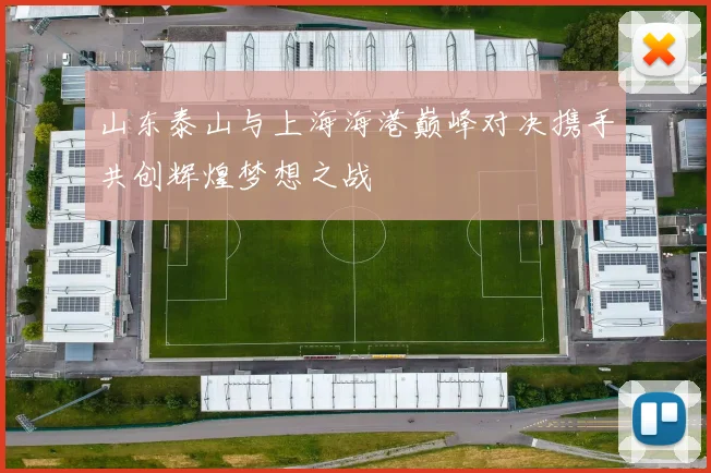 山东泰山与上海海港巅峰对决携手共创辉煌梦想之战