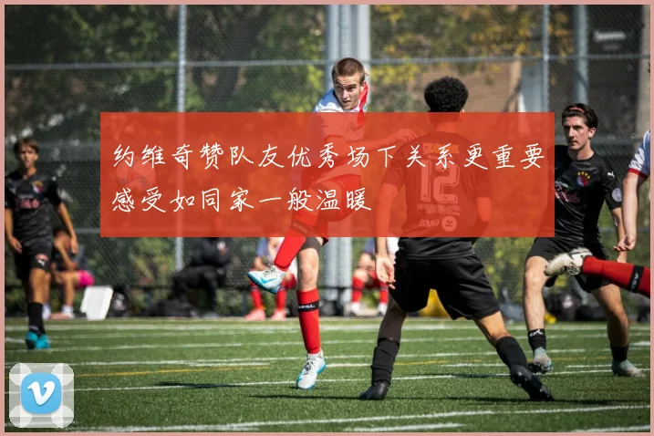 约维奇赞队友优秀场下关系更重要感受如同家一般温暖