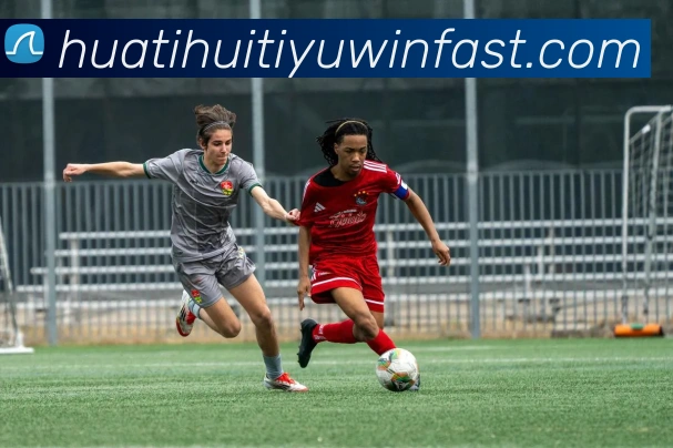 华体会体育平台生态图